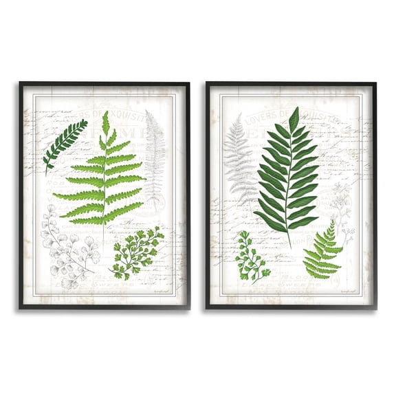 Stupell Industries Antique Fern Study with Script Forest Greenery Designed by Jennifer Pugh