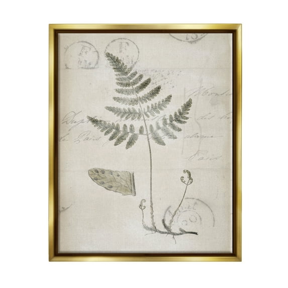 Stupell Industries Antique Fern Woodland Plant Study Botanical & Floral Drawing Gold Floater Framed Art Print Wall Art