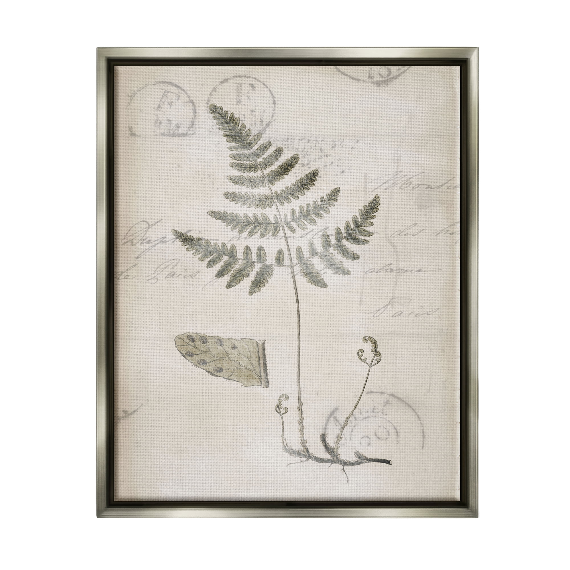 Stupell Industries Antique Fern Woodland Plant Study Botanical & Floral Drawing Gray Floater Framed Art Print Wall Art