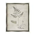 thumbnail image 1 of Stupell Industries Antique Fern Woodland Plant Study Botanical & Floral Drawing Gray Floater Framed Art Print Wall Art, 1 of 6