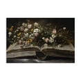 thumbnail image 1 of Stupell Industries Contemporary Antique Floral Open Book Canvas Art, 30 x 20, by Jacky Ngan, 1 of 8