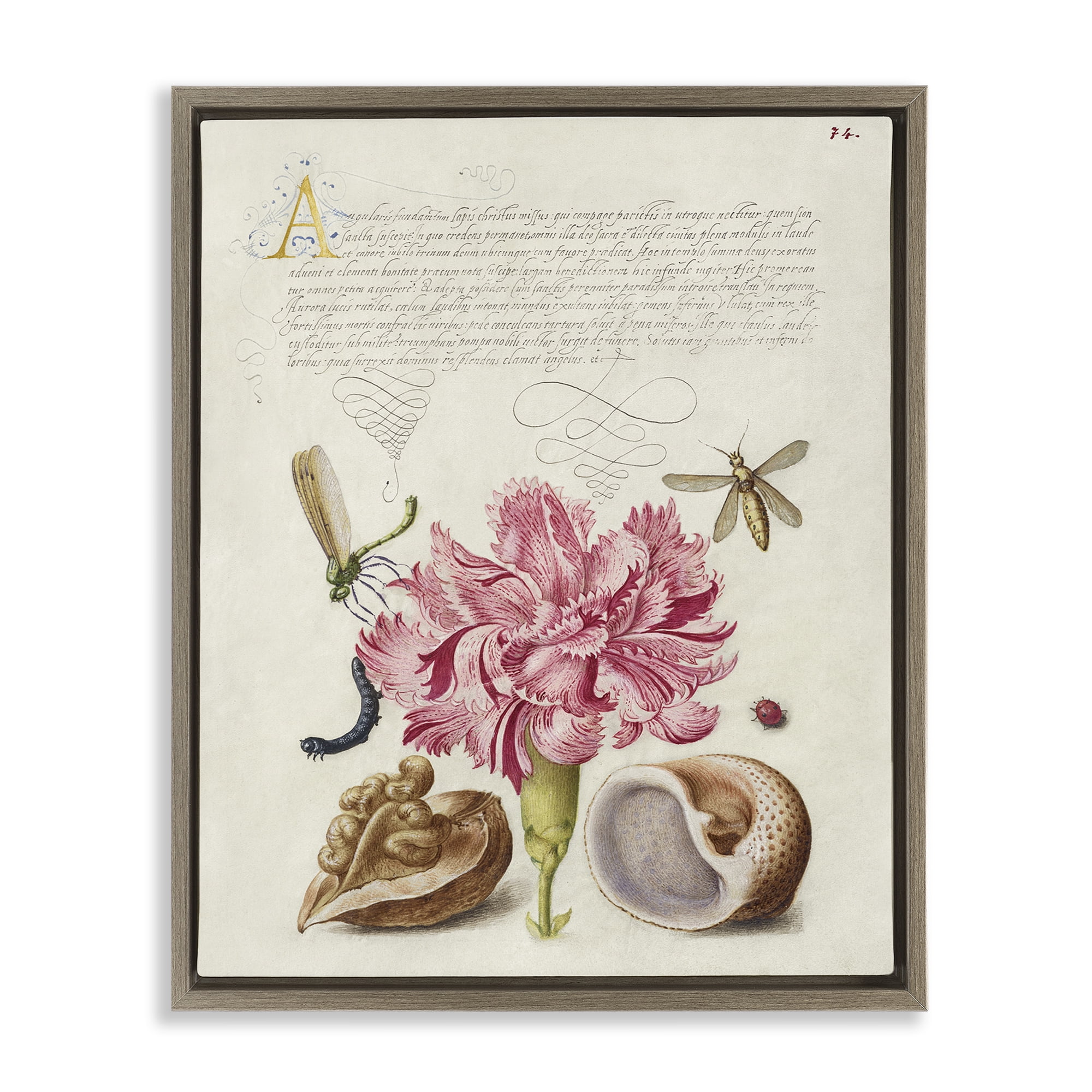 Stupell Industries Antique Flower & Snails Text & Numbers Painting Brown Floater Framed Canvas Art Print Wall Art, 17 x 21
