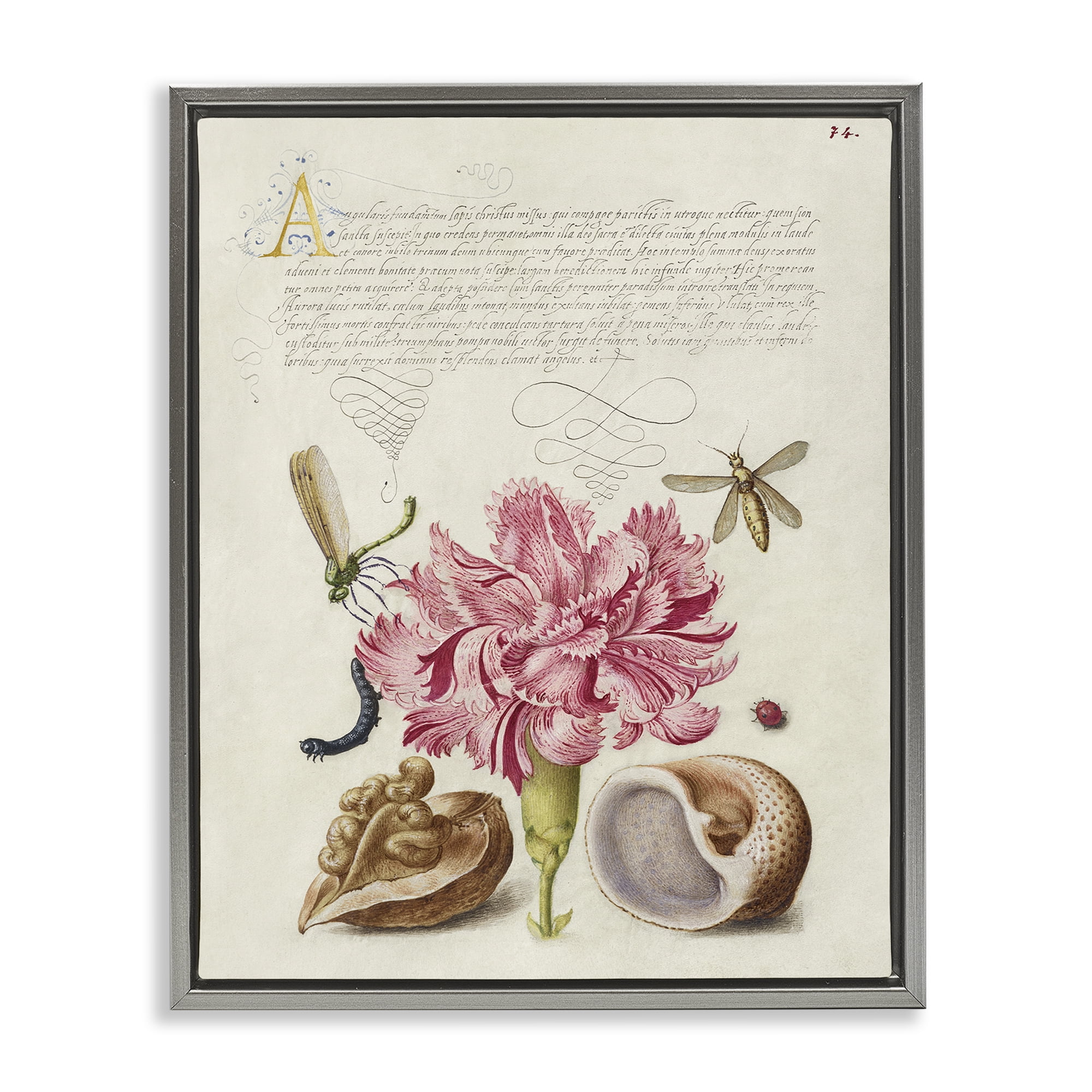 Stupell Industries Antique Flower & Snails Text & Numbers Painting Gray Floater Framed Canvas Art Print Wall Art, 17 x 21