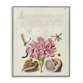 thumbnail image 1 of Stupell Industries Victorian Antique Flower & Snails Gray Framed Giclee Art, 24 x 30, by June Erica Vess, 1 of 8