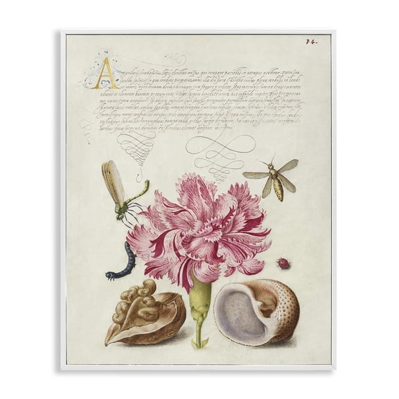 Stupell Industries Antique Flower & Snails Text & Numbers Painting White Framed Art Print Wall Art, 16 x 20