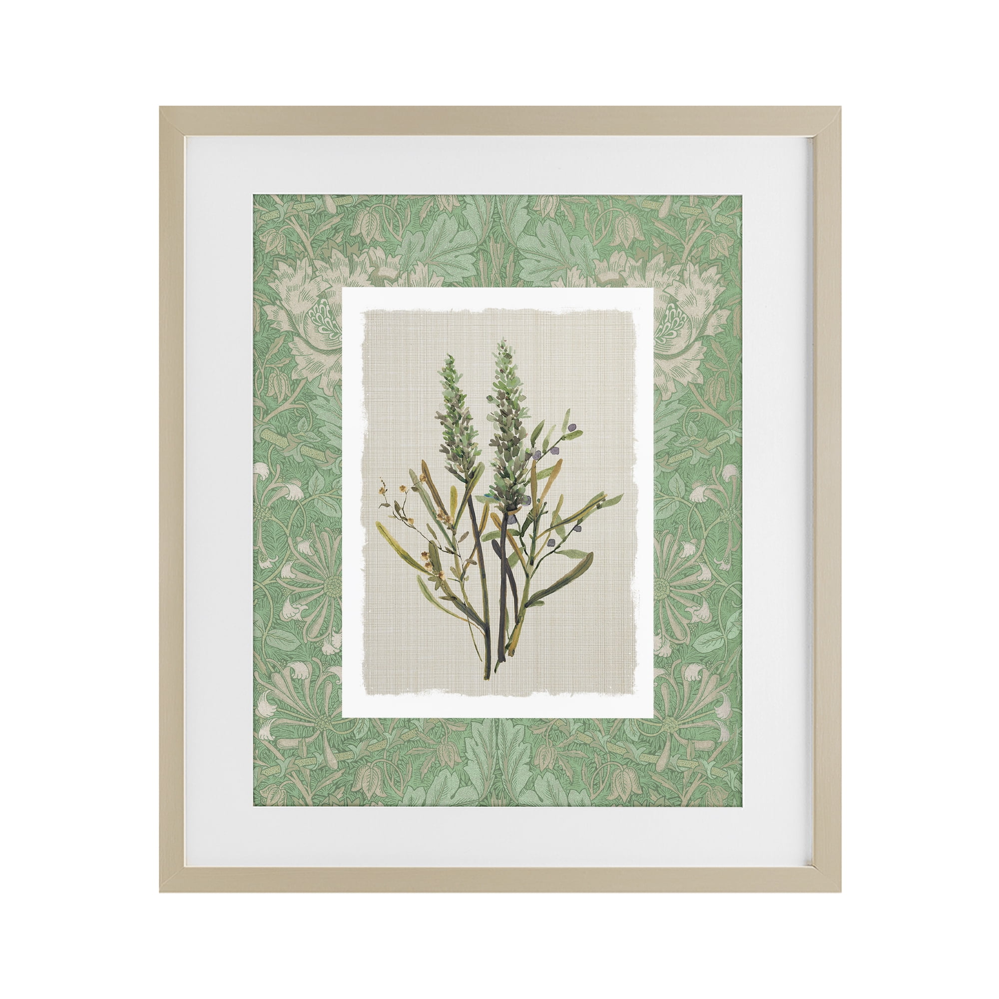 Stupell Industries Antique Foliage in Green Birch Framed Print Under Glass, design by Carol Robinson