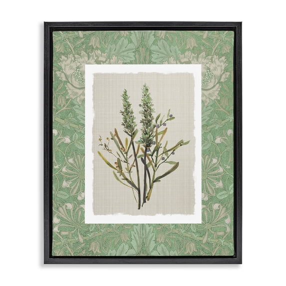Stupell Industries Traditional Antique Foliage in Green Black Floating Frame Canvas Art, 25 x 31, by Carol Robinson
