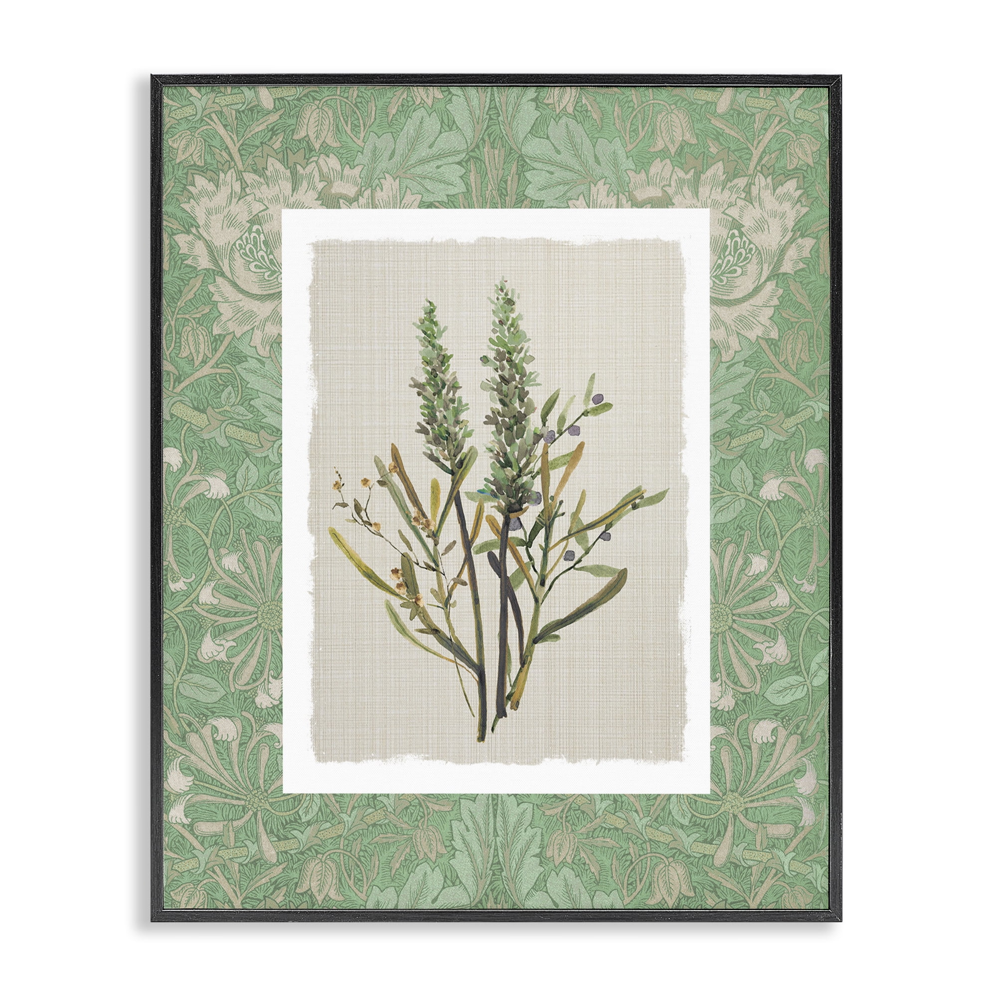 Stupell Industries Antique Foliage in Green Black Framed Giclee Art, design by Carol Robinson