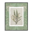 thumbnail image 1 of Stupell Industries Traditional Antique Foliage in Green Black Framed Giclee Art, 11 x 14, by Carol Robinson, 1 of 8