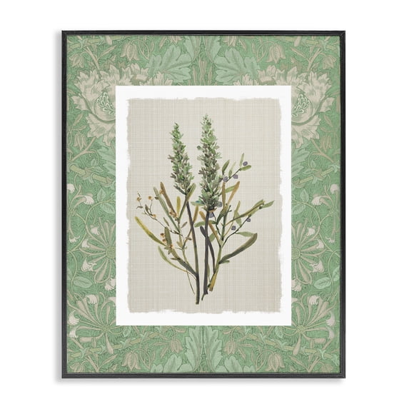 Stupell Industries Traditional Antique Foliage in Green Black Framed Giclee Art, 11 x 14, by Carol Robinson