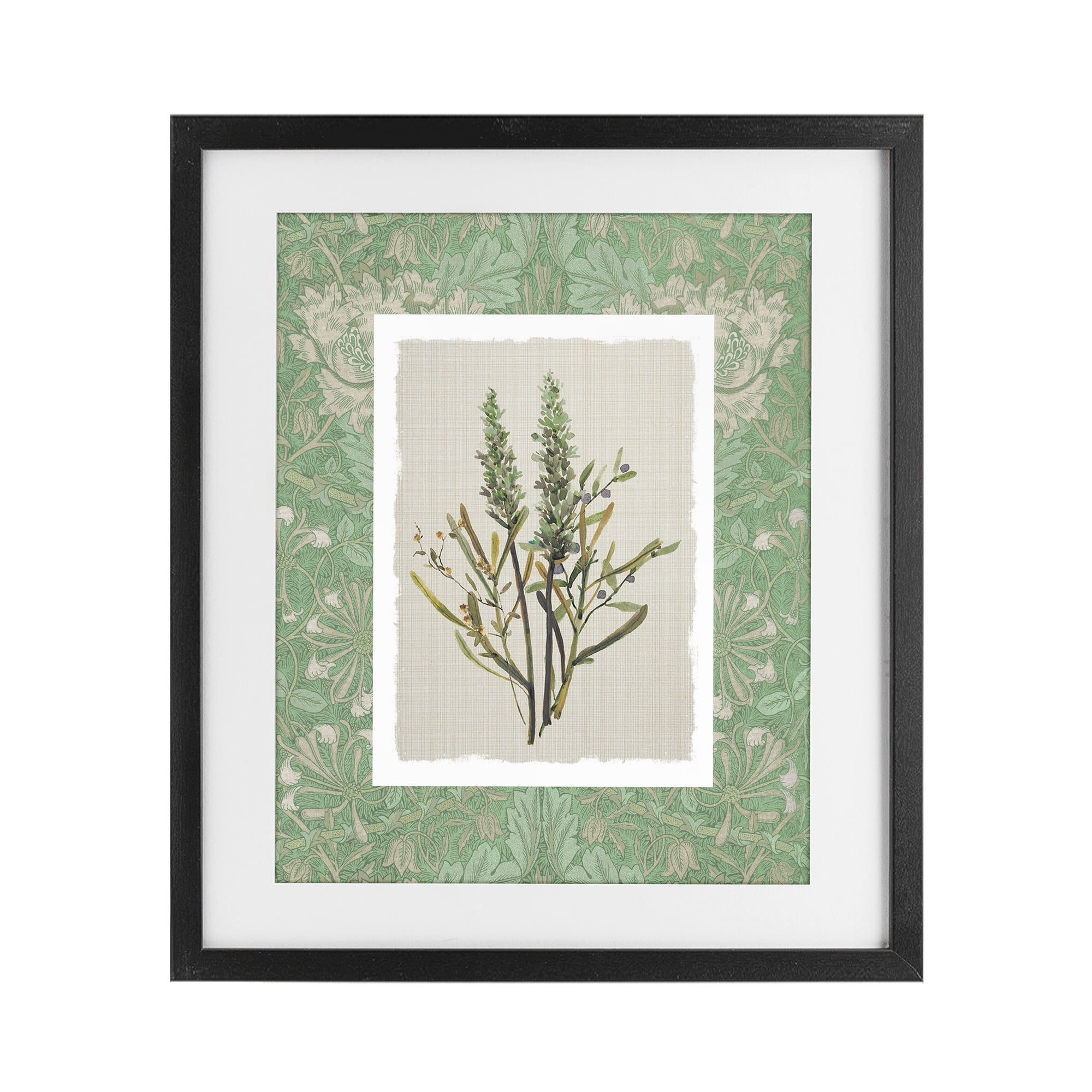 Stupell Industries Antique Foliage in Green Black Framed Print Under Glass, design by Carol Robinson