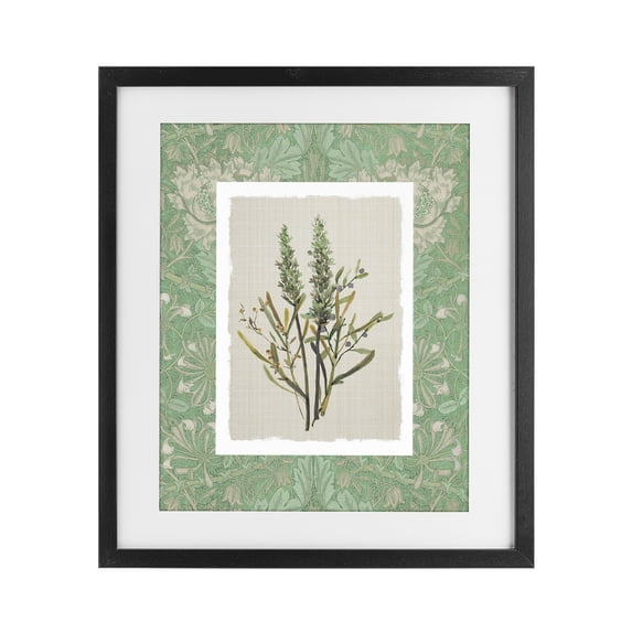 Stupell Industries Traditional Antique Foliage in Green Black Framed Print Under Glass, 13 x 16, by Carol Robinson