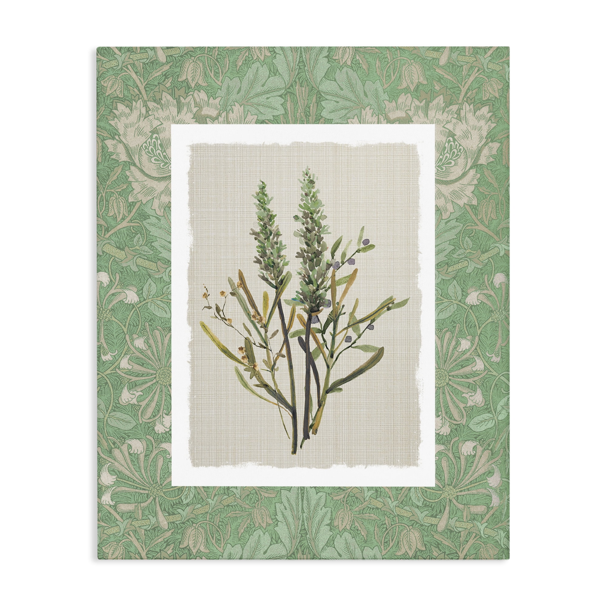 Stupell Industries Antique Foliage in Green Canvas Wall Art, design by Carol Robinson
