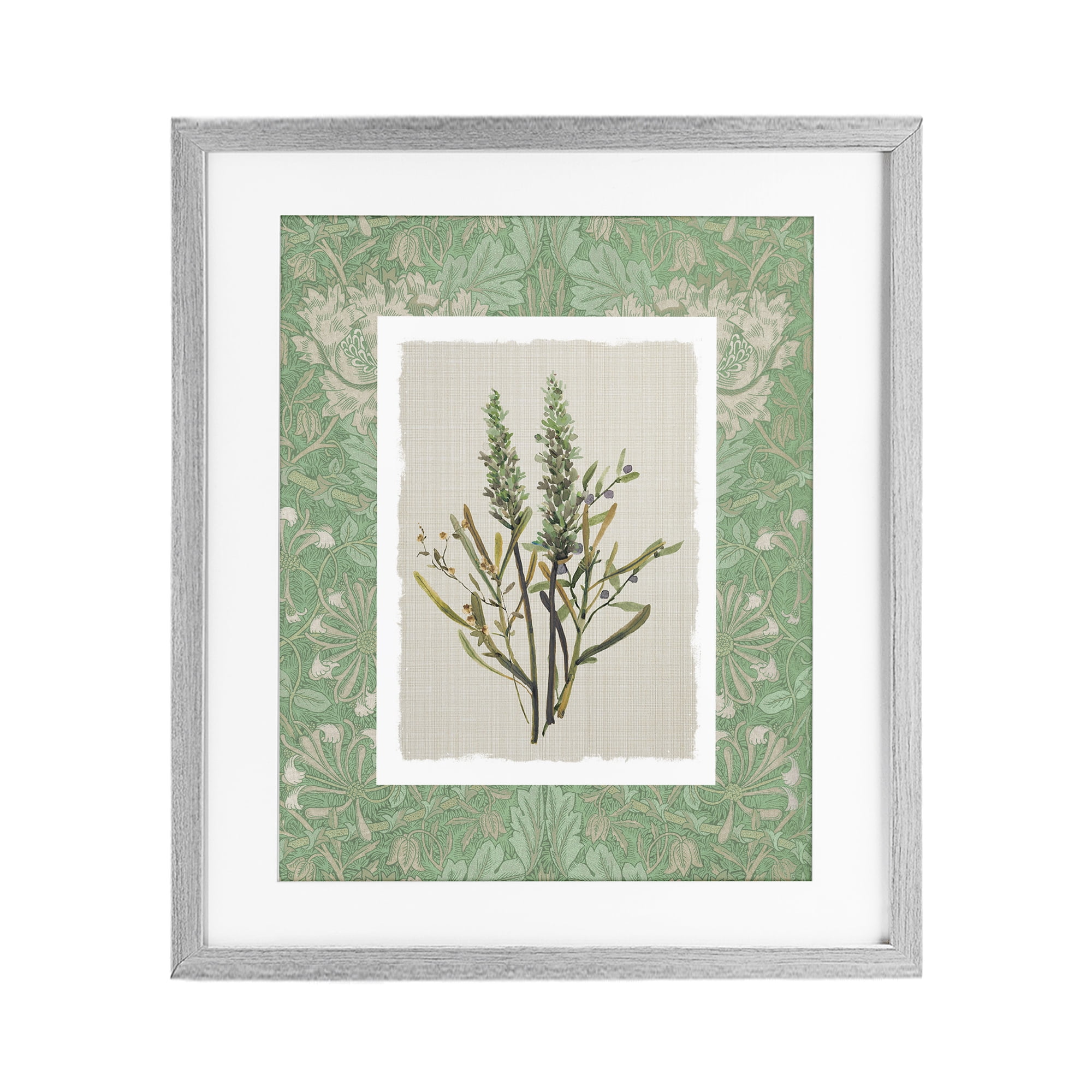 Stupell Industries Antique Foliage in Green Gray Framed Print Under Glass, design by Carol Robinson