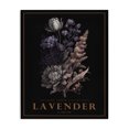 thumbnail image 1 of Stupell Industries Traditional Antique Lavender Bushel Canvas Art, 16 x 20, by Christopher Giampietro, 1 of 8