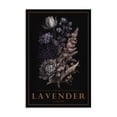 thumbnail image 1 of Stupell Industries Traditional Antique Lavender Light Canvas Art, 16 x 24, by Chris Giampietro, 1 of 8