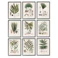 thumbnail image 1 of Stupell Industries Antique Leaves Vintage Studies Graphic Art Black Framed Art Print Wall Art, Set of 9, Design by Vision Studio, 1 of 7