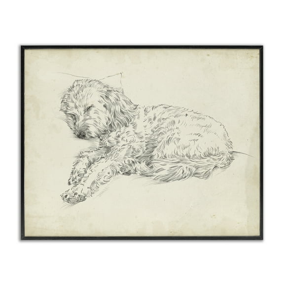 Stupell Industries Antique Sleeping Dog Sketch Animals Drawing Black Framed Art Print Wall Art, 14 x 11