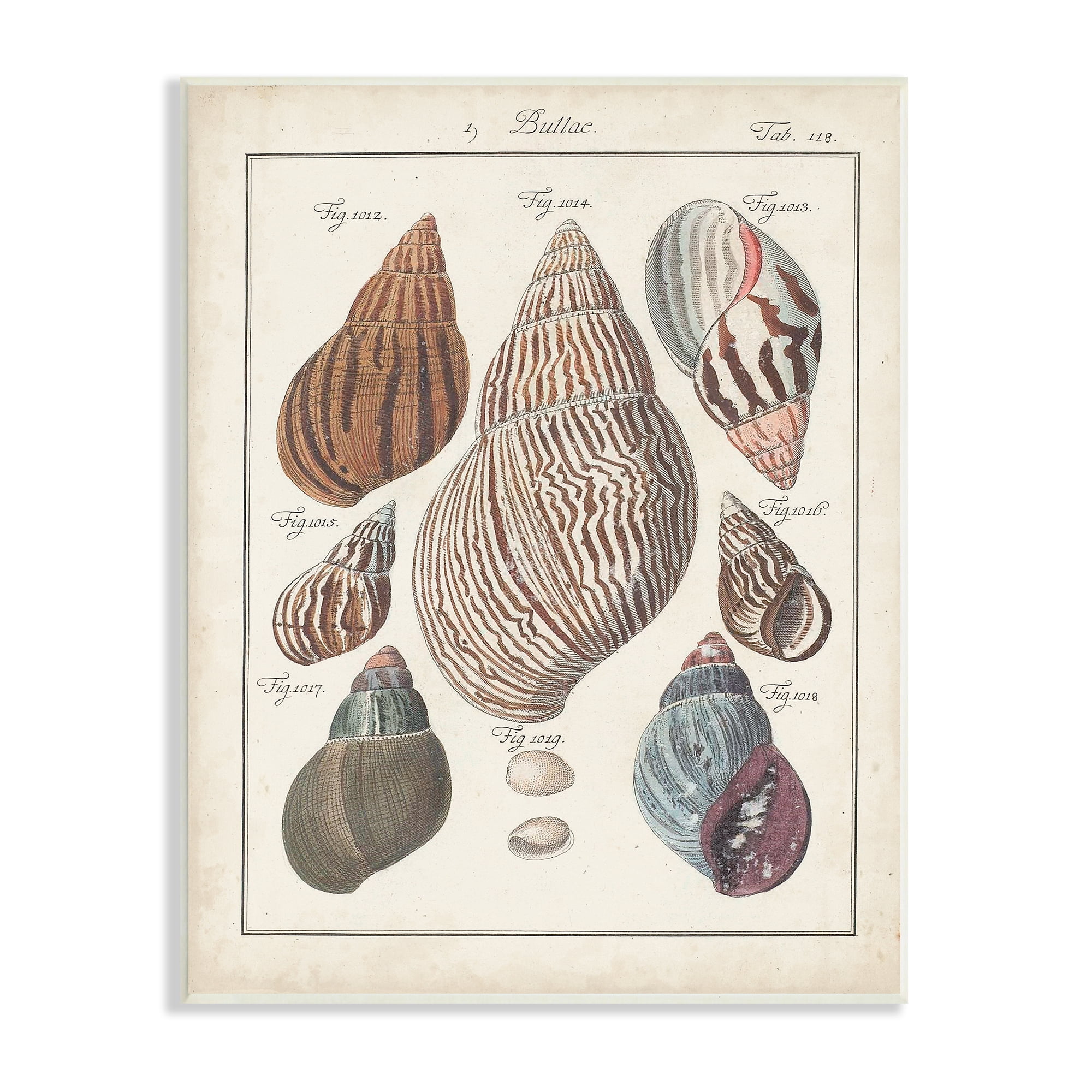 Stupell Industries Antique Spiral Shell Pairing Vintage Nautical Study Nature Painting Unframed Art Print Wall Art, 10 x 15