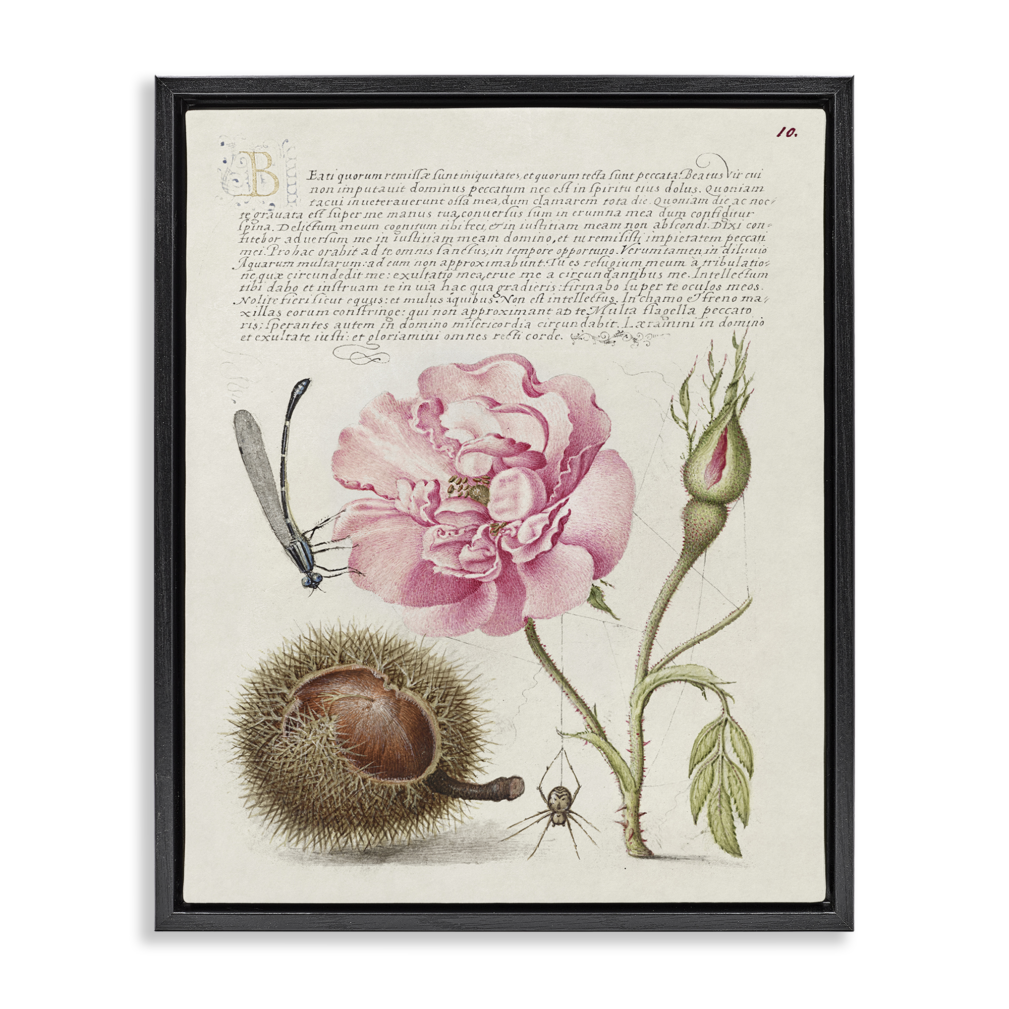 Stupell Industries Antique Study Page Text & Numbers Painting Black Floater Framed Canvas Art Print Wall Art, 17 x 21