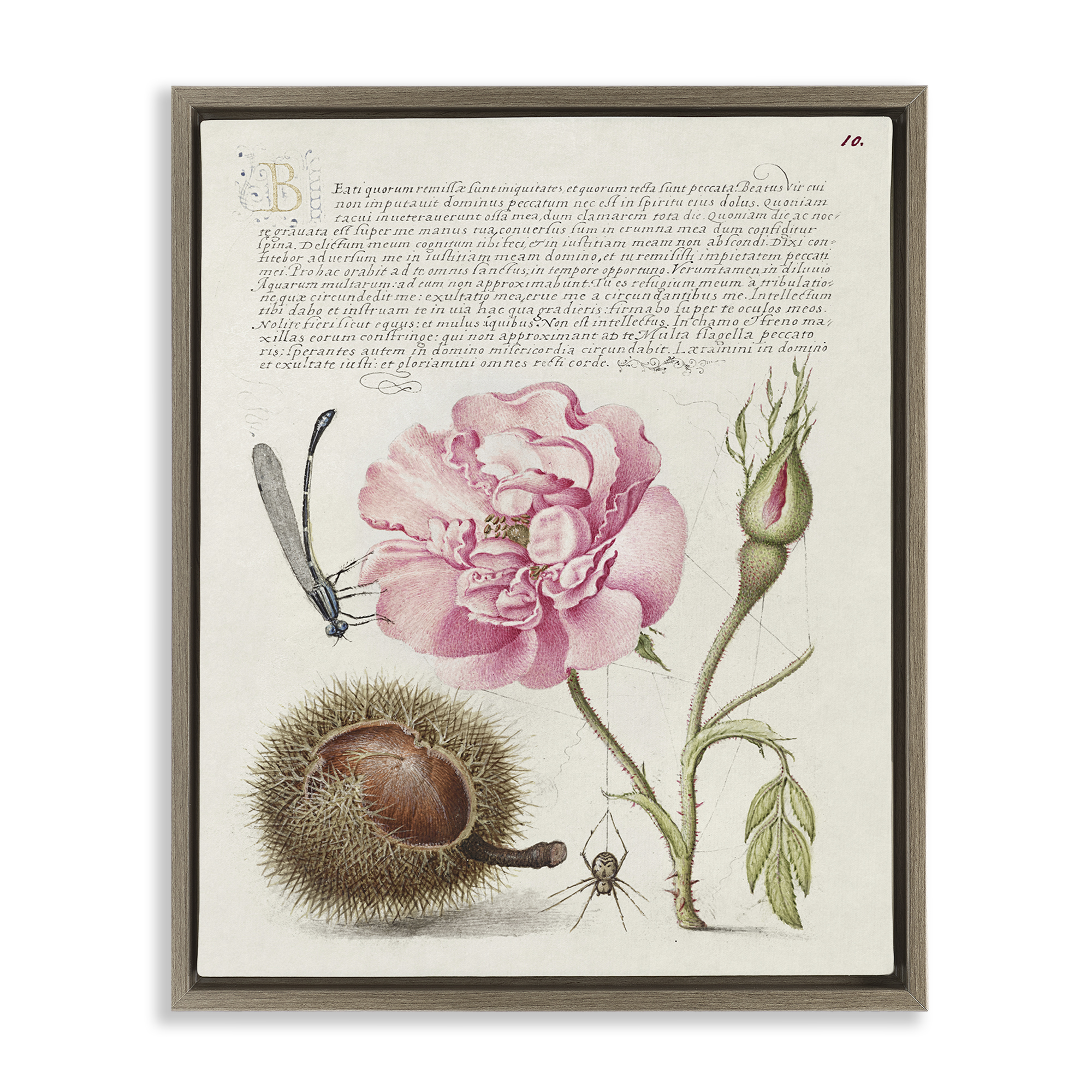 Stupell Industries Antique Study Page Text & Numbers Painting Brown Floater Framed Canvas Art Print Wall Art, 25 x 31