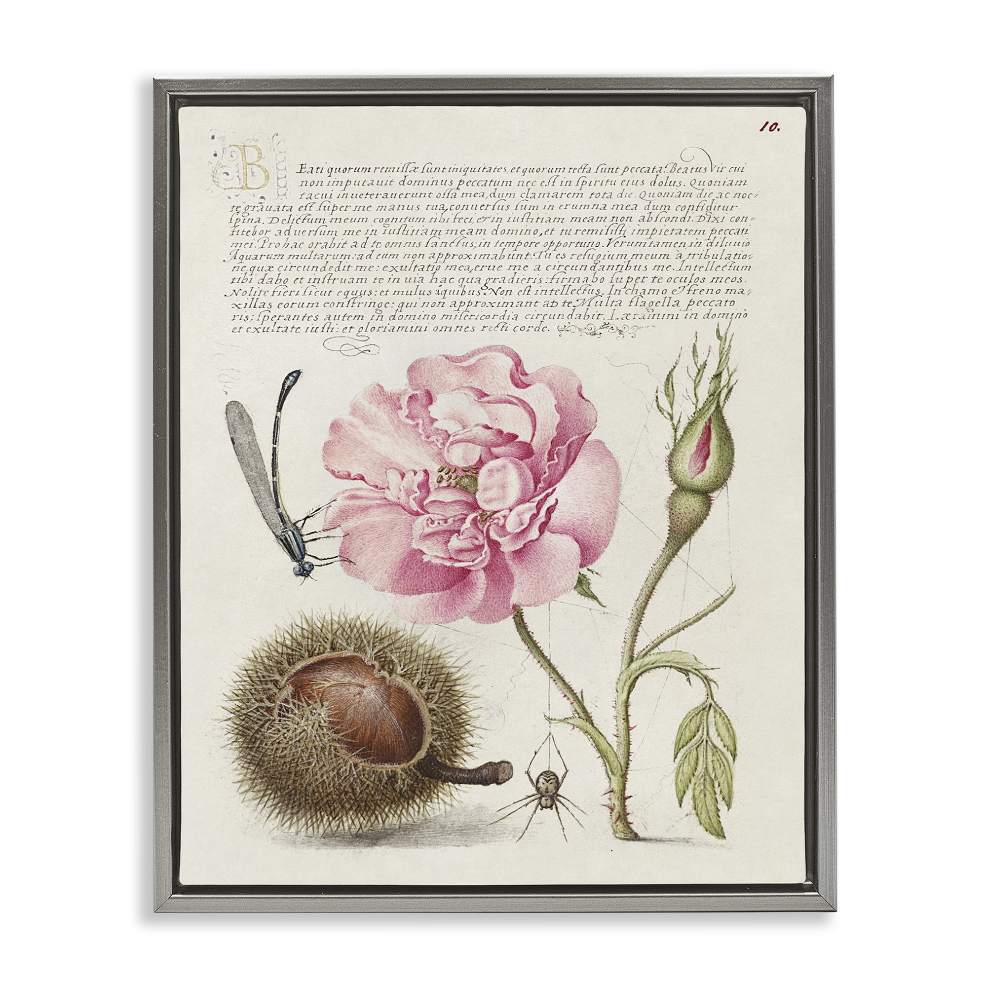 Stupell Industries Antique Study Page Text & Numbers Painting Gray Floater Framed Canvas Art Print Wall Art, 17 x 21
