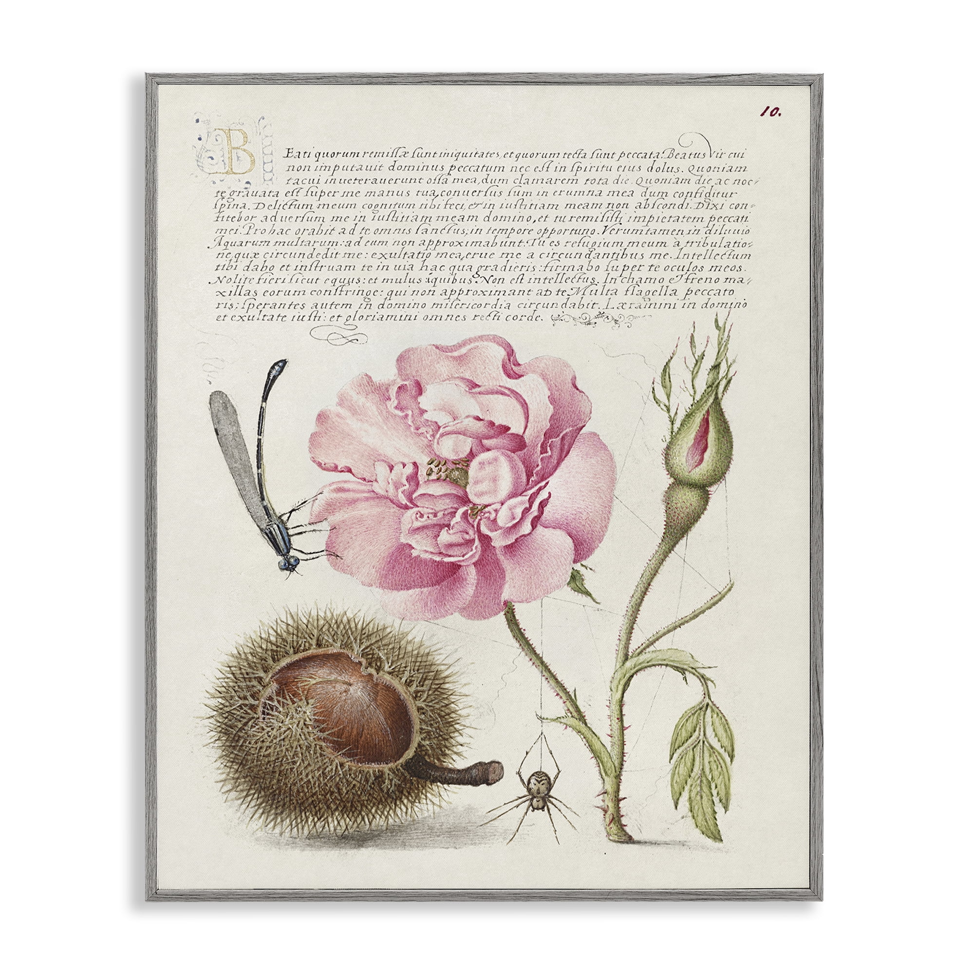 Stupell Industries Antique Study Page Text & Numbers Painting Gray Framed Art Print Wall Art, 11 x 14