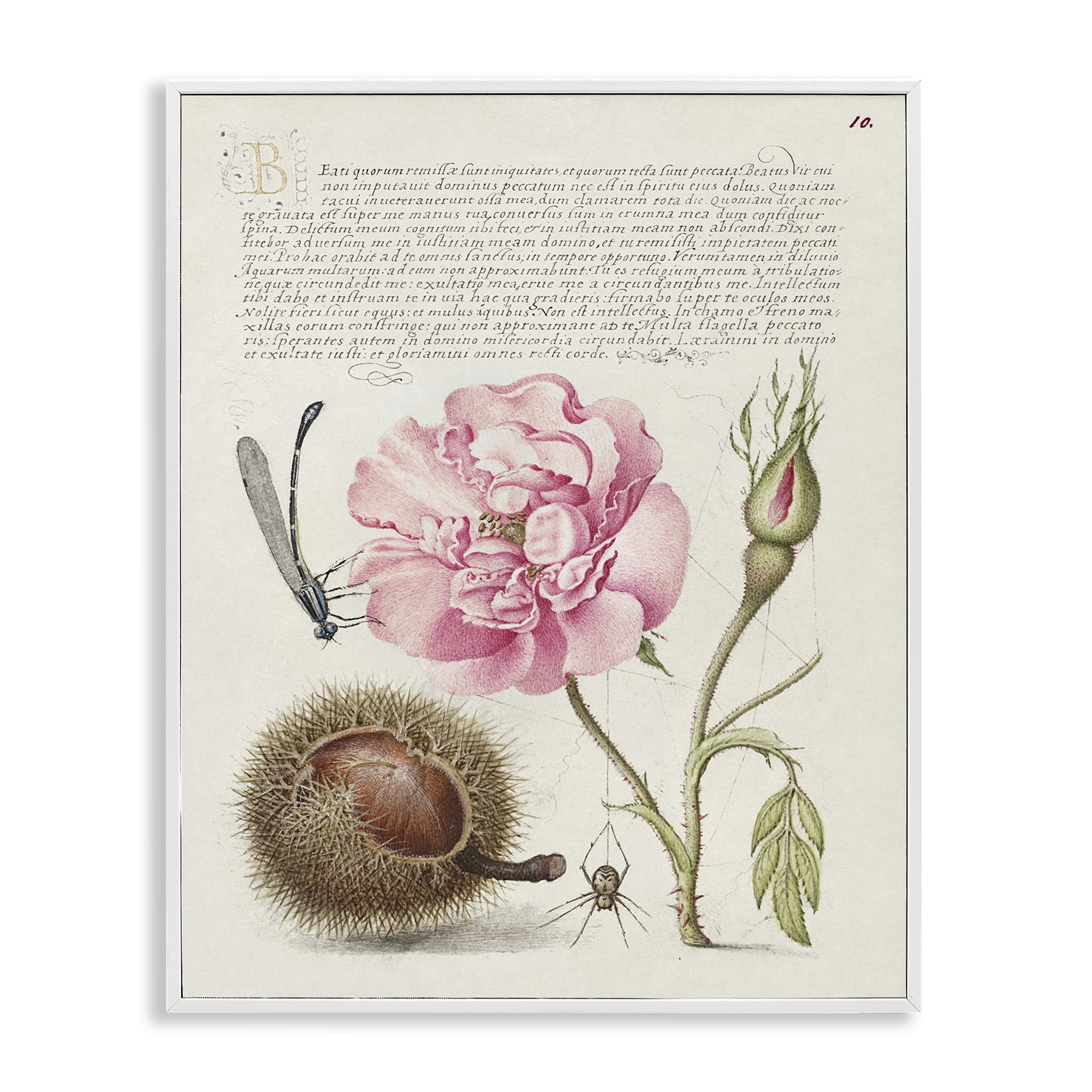Stupell Industries Antique Study Page Text & Numbers Painting White Framed Art Print Wall Art, 11 x 14