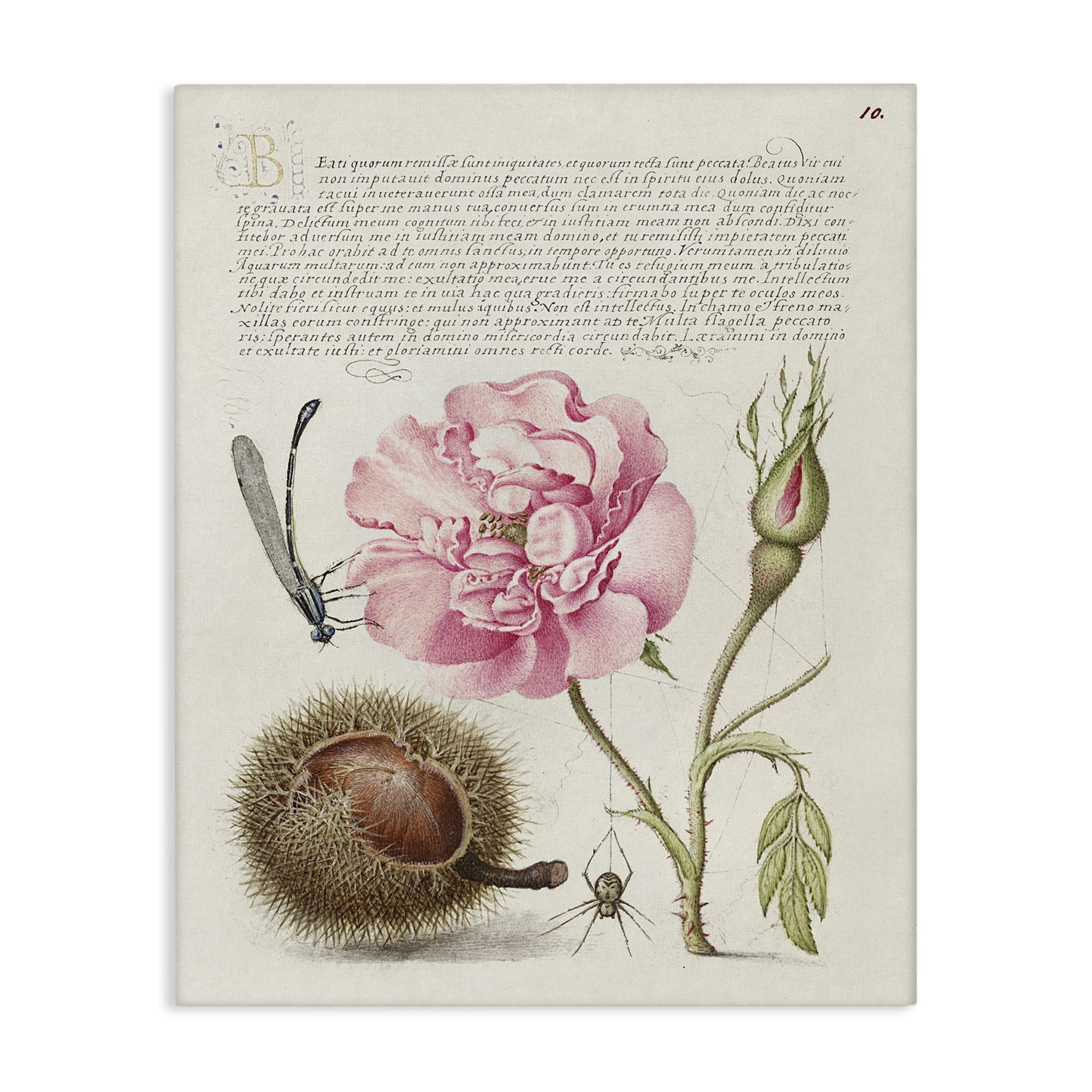 Stupell Industries Antique Study Page Text & Numbers Painting Wrapped Canvas Art Print Wall Art, 30 x 40