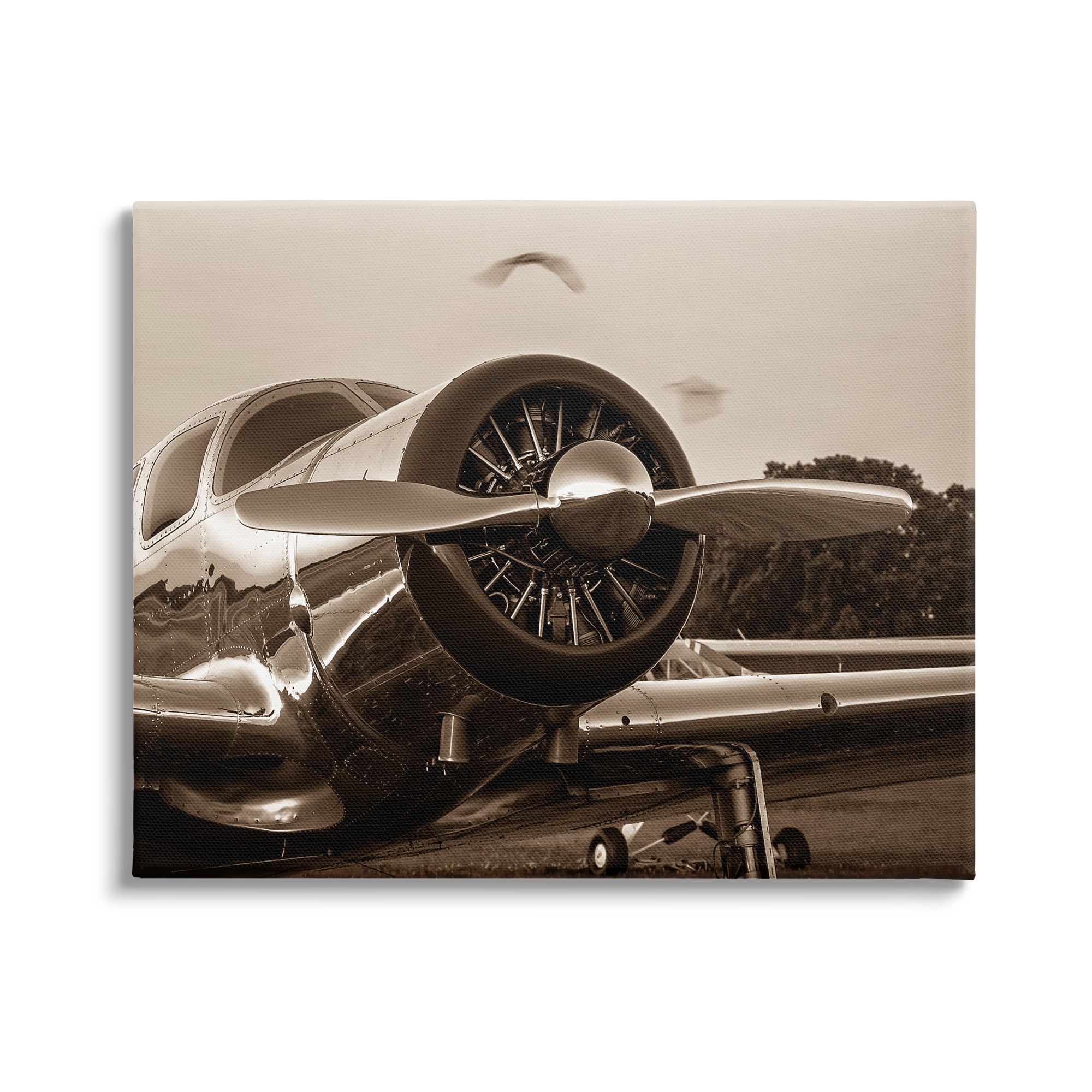 Stupell Industries Antique Style Airplane Aircraft Propeller Photography Landscape Canvas Wall Art, 20 x 16, Design by John Slemp