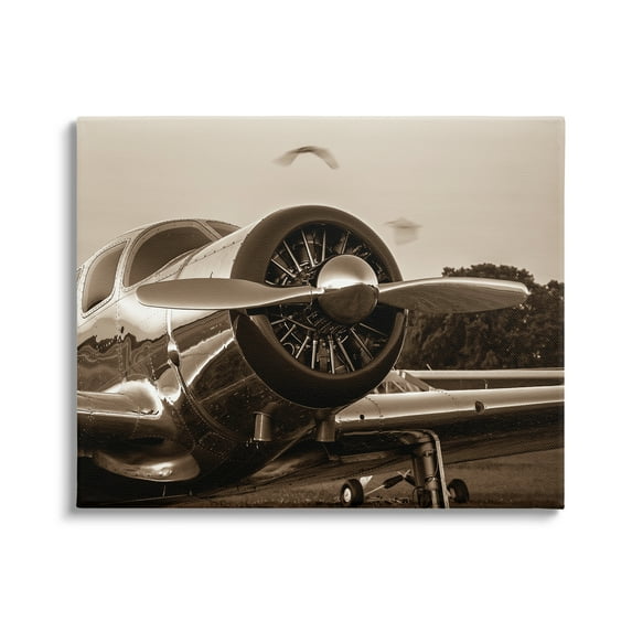 Stupell Industries Antique Style Airplane Aircraft Propeller Photography Landscape Canvas Wall Art, 48 x 36, Design by John Slemp