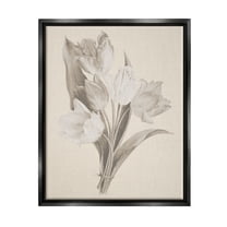 Stupell Industries Antique Tulips Drawing Botanical & Floral Drawing Black Floater Framed Canvas Art Print Wall Art, 17 x 21
