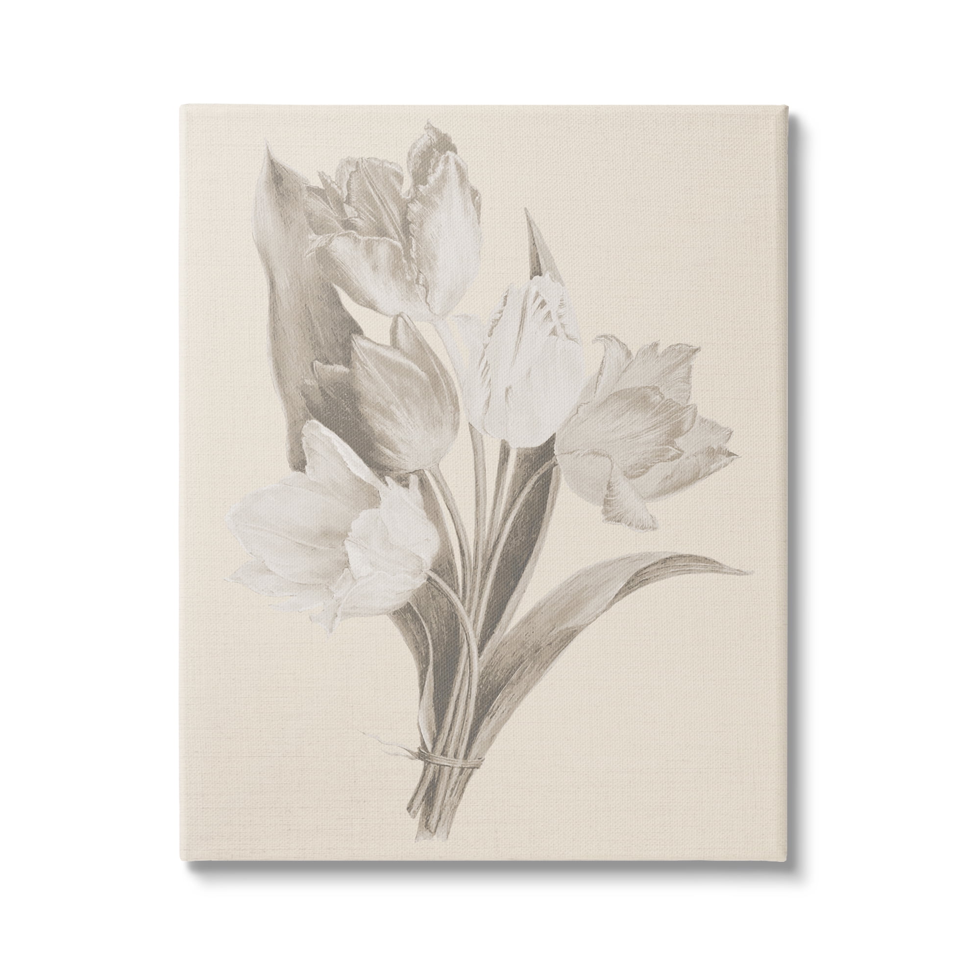 Stupell Industries Antique Tulips Drawing Botanical & Floral Drawing Gallery Wrapped Canvas Art Print Wall Art, 16 x 20