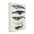thumbnail image 1 of Stupell Industries Antique Whale Chart Large Vintage Nautical Animals Nature Painting Gallery Wrapped Canvas Print Wall Art, 24 x 30, 1 of 6