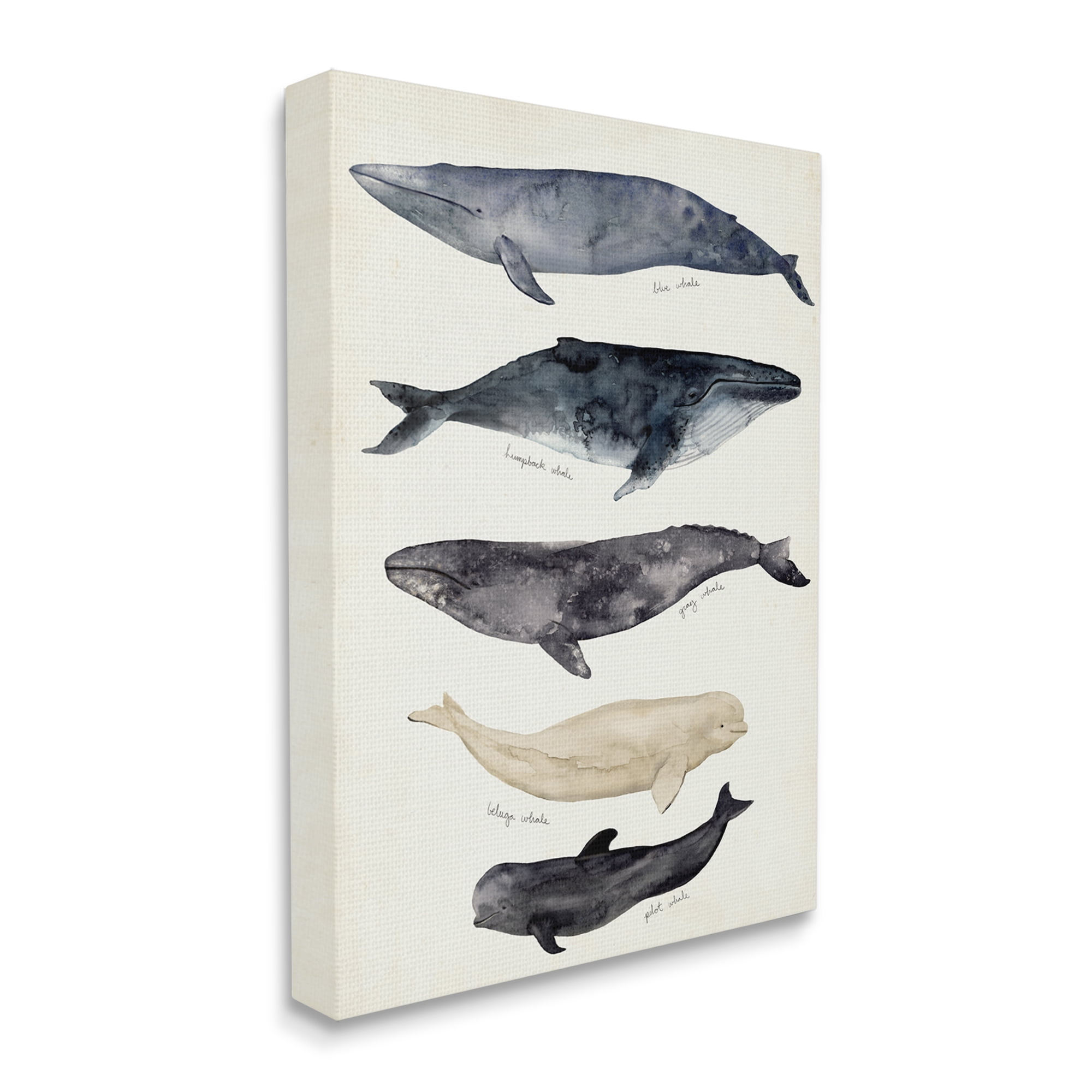 Stupell Industries Antique Whale Chart Large Vintage Nautical Animals Nature Painting Gallery Wrapped Canvas Print Wall Art, 30 x 40