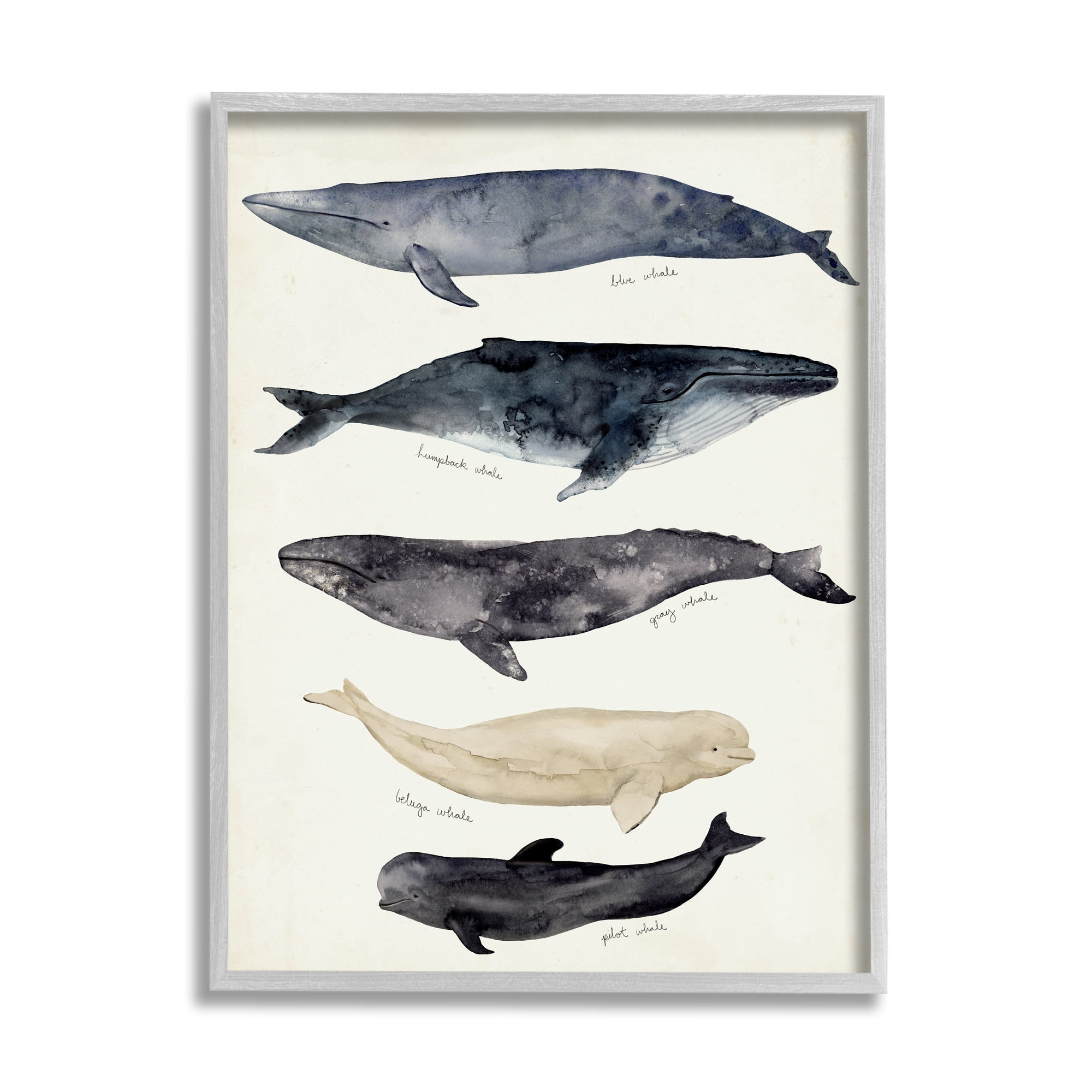 Stupell Industries Antique Whale Chart Large Vintage Nautical Animals Nature Painting Gray Framed Art Print Wall Art, 24 x 30