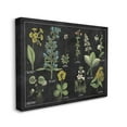 thumbnail image 1 of Stupell Industries Antique Wild Flower Chart Scientific Botanical Print Canvas Wall Art Design by Wild Apple Portfolio, 24" x 30", 1 of 6