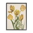 thumbnail image 1 of Stupell Industries Antique Yellow Tulips Botanical & Floral Painting Black Framed Art Print Wall Art, 11 x 14, 1 of 9