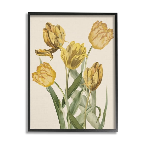 Stupell Industries Antique Yellow Tulips Botanical & Floral Painting Black Framed Art Print Wall Art, 16 x 20