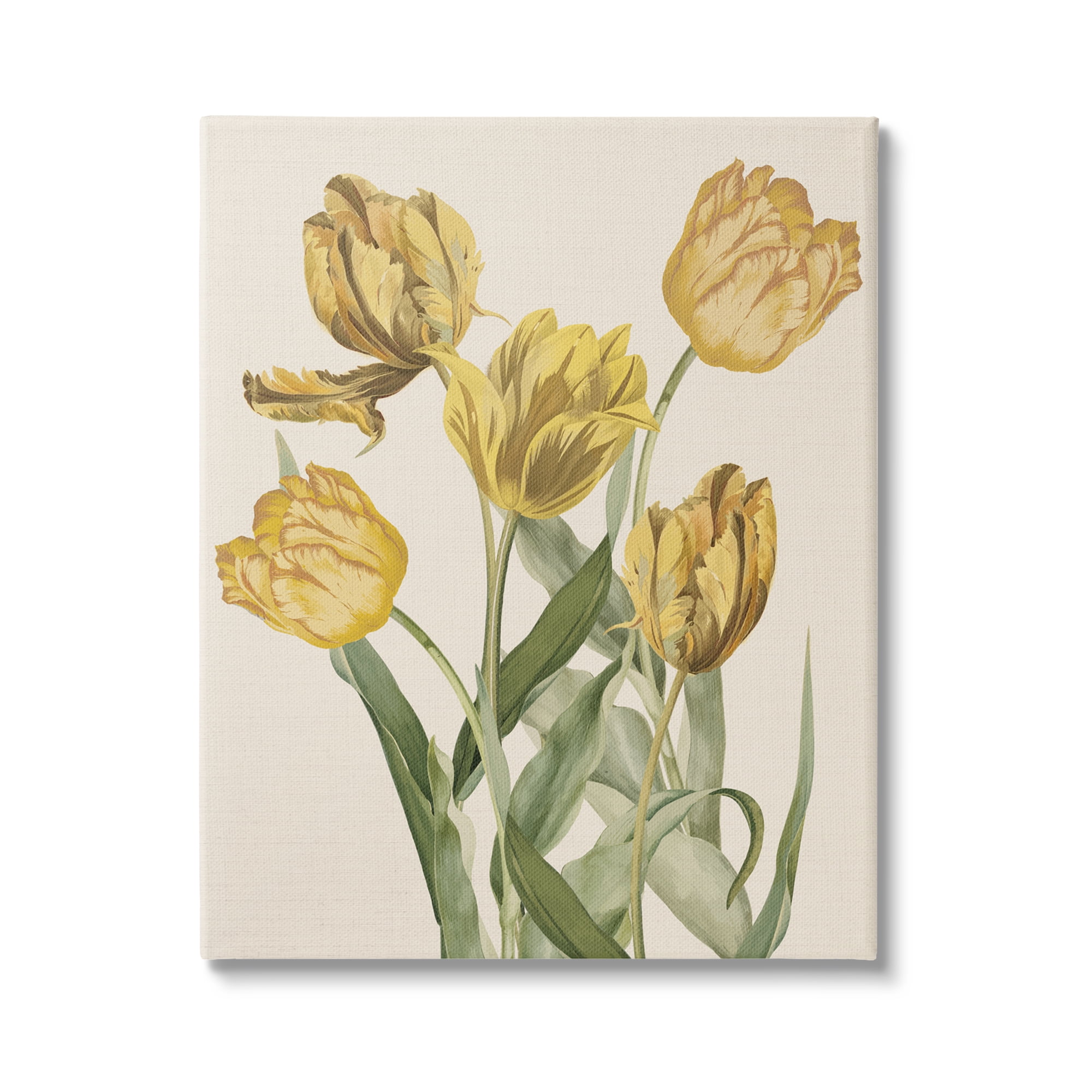 Stupell Industries Antique Yellow Tulips Botanical & Floral Painting Gallery Wrapped Canvas Art Print Wall Art, 24 x 30