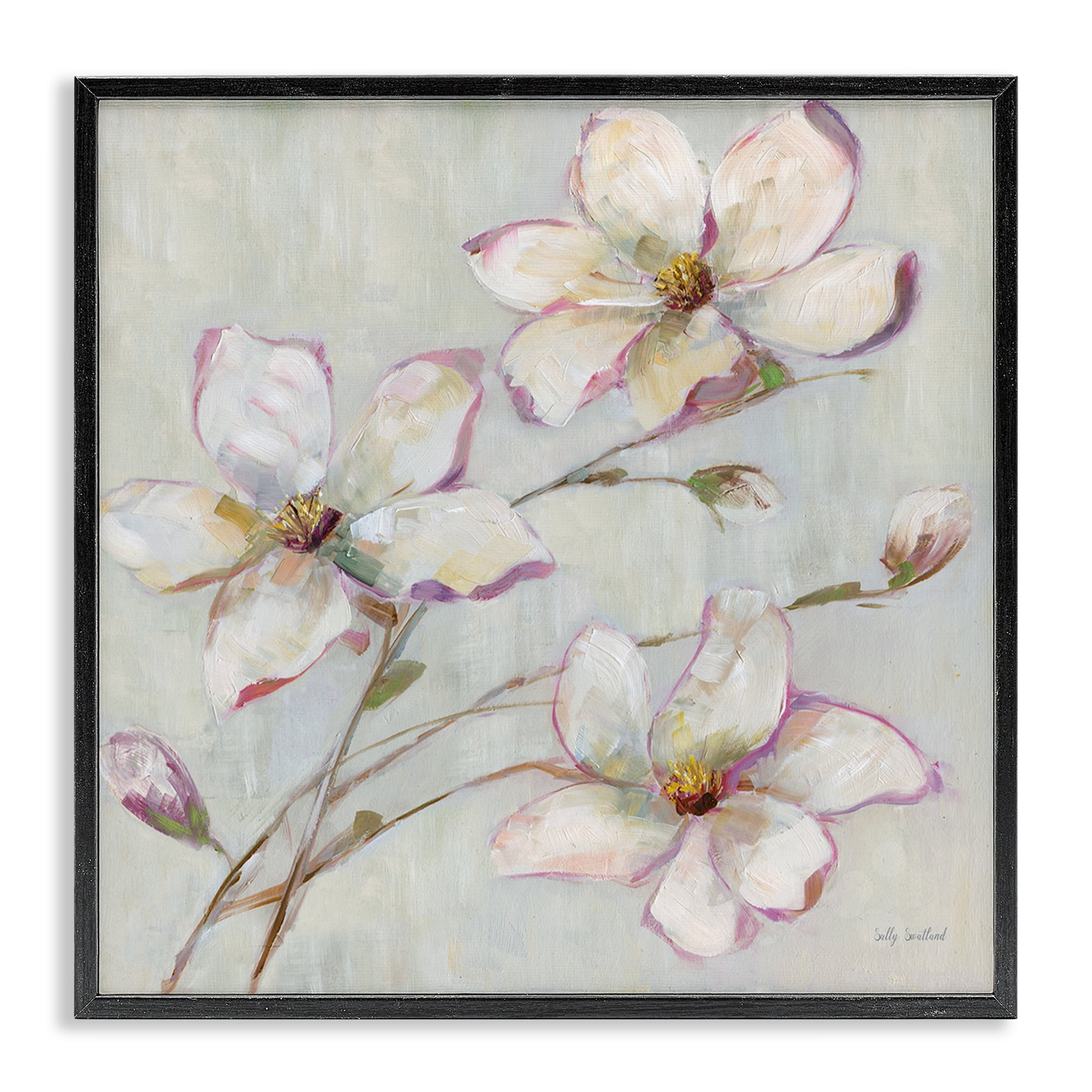 Stupell Industries Apple Blossom Botanicals Botanical & Floral Painting Black Framed Art Print Wall Art, 17 x 17