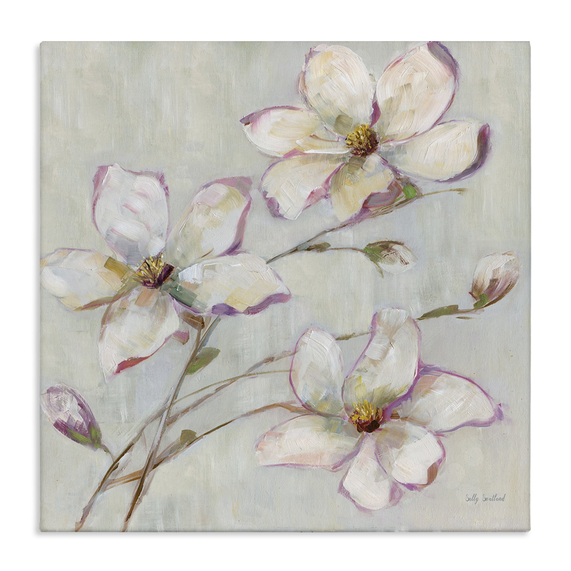 Stupell Industries Apple Blossom Botanicals Botanical & Floral Painting Gallery Wrapped Canvas Art Print Wall Art, 30 x 30