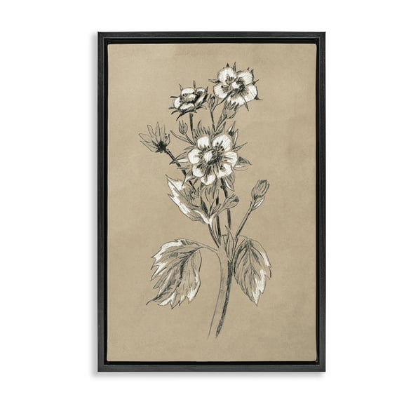 Stupell Industries Apple Blossom Drawing Botanical & Floral Drawing Black Floater Framed Art Print Wall Art, 17 x 25