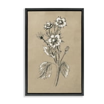 Stupell Industries Apple Blossom Drawing Botanical & Floral Drawing Black Floater Framed Art Print Wall Art, 17 x 25