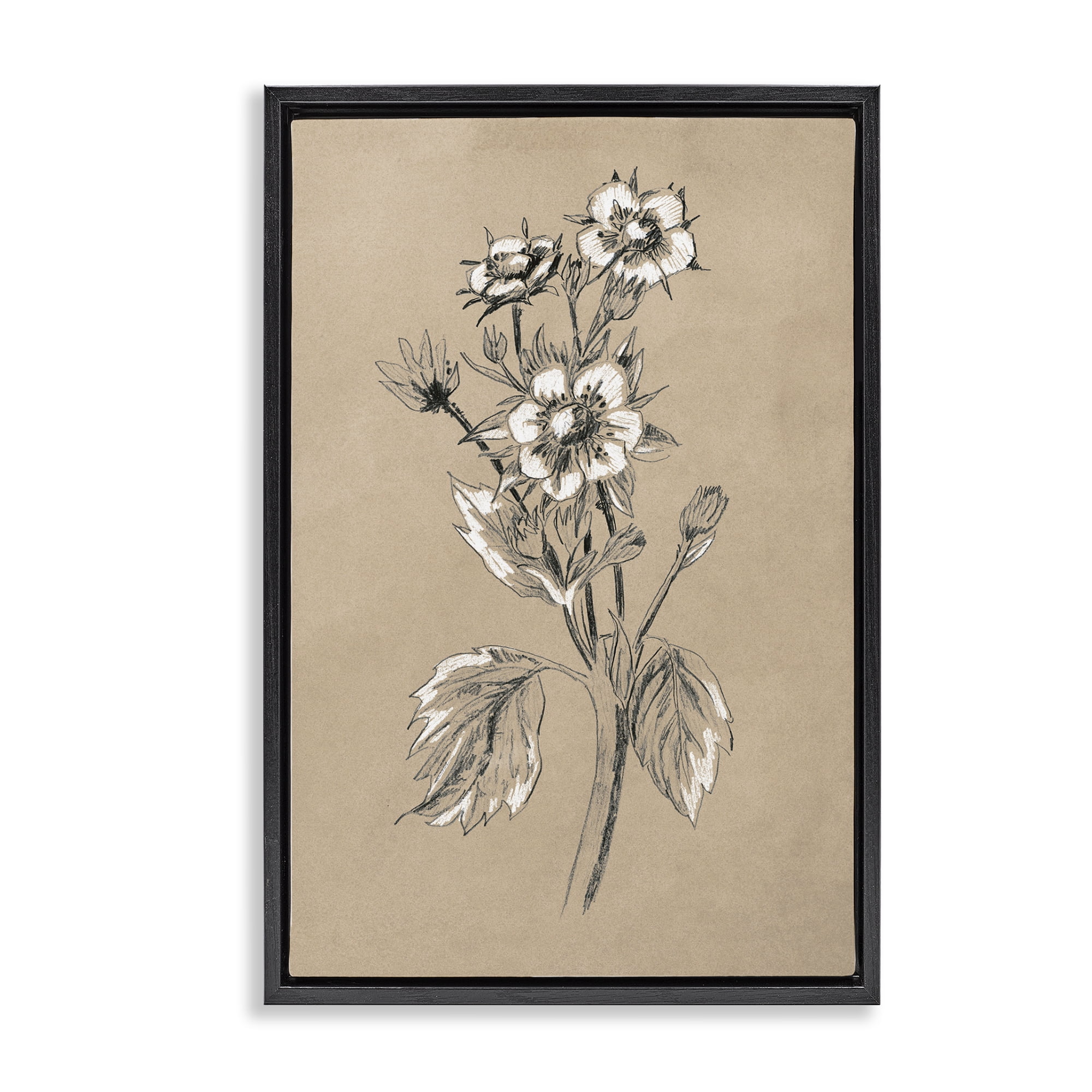 Stupell Industries Apple Blossom Drawing Botanical & Floral Drawing Black Floater Framed Art Print Wall Art, 21 x 31