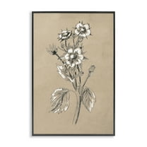 Stupell Industries Apple Blossom Drawing Botanical & Floral Drawing Black Framed Art Print Wall Art, 12 x 18