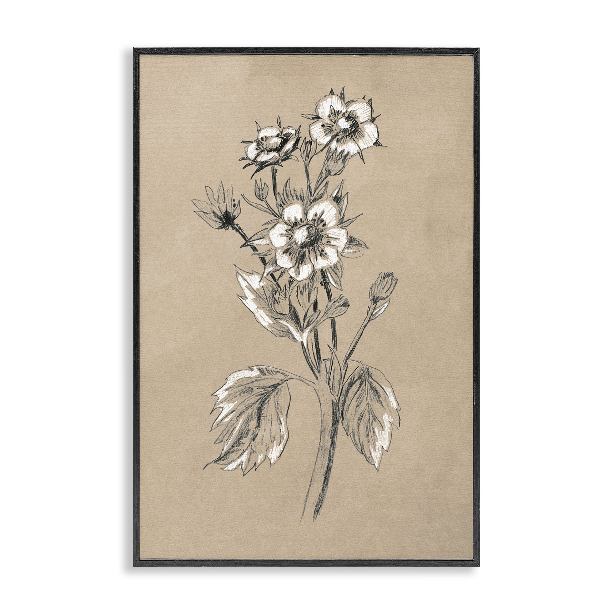 Stupell Industries Apple Blossom Drawing Botanical & Floral Drawing Black Framed Art Print Wall Art, 20 x 30
