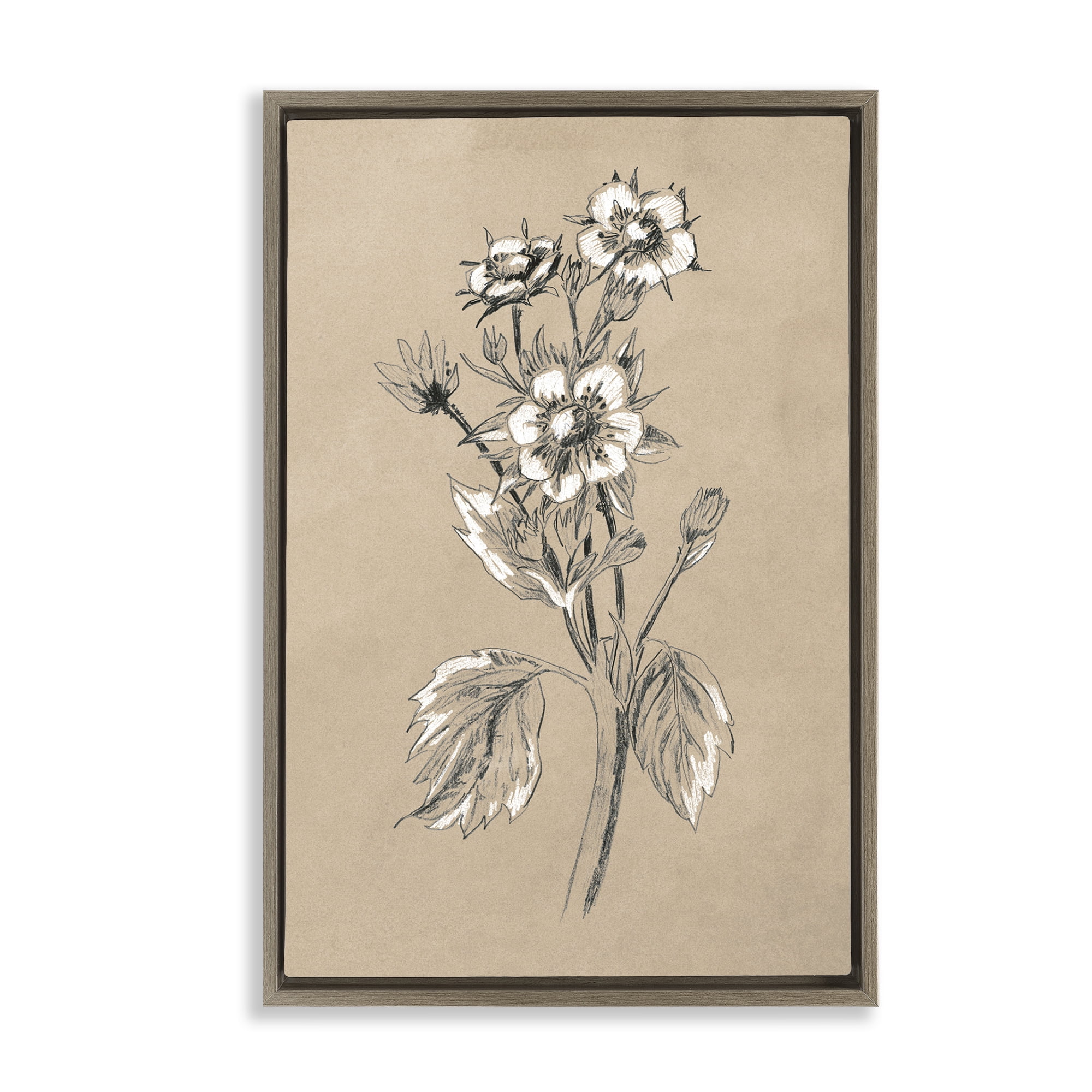 Stupell Industries Apple Blossom Drawing Botanical & Floral Drawing Brown Floater Framed Art Print Wall Art, 17 x 25