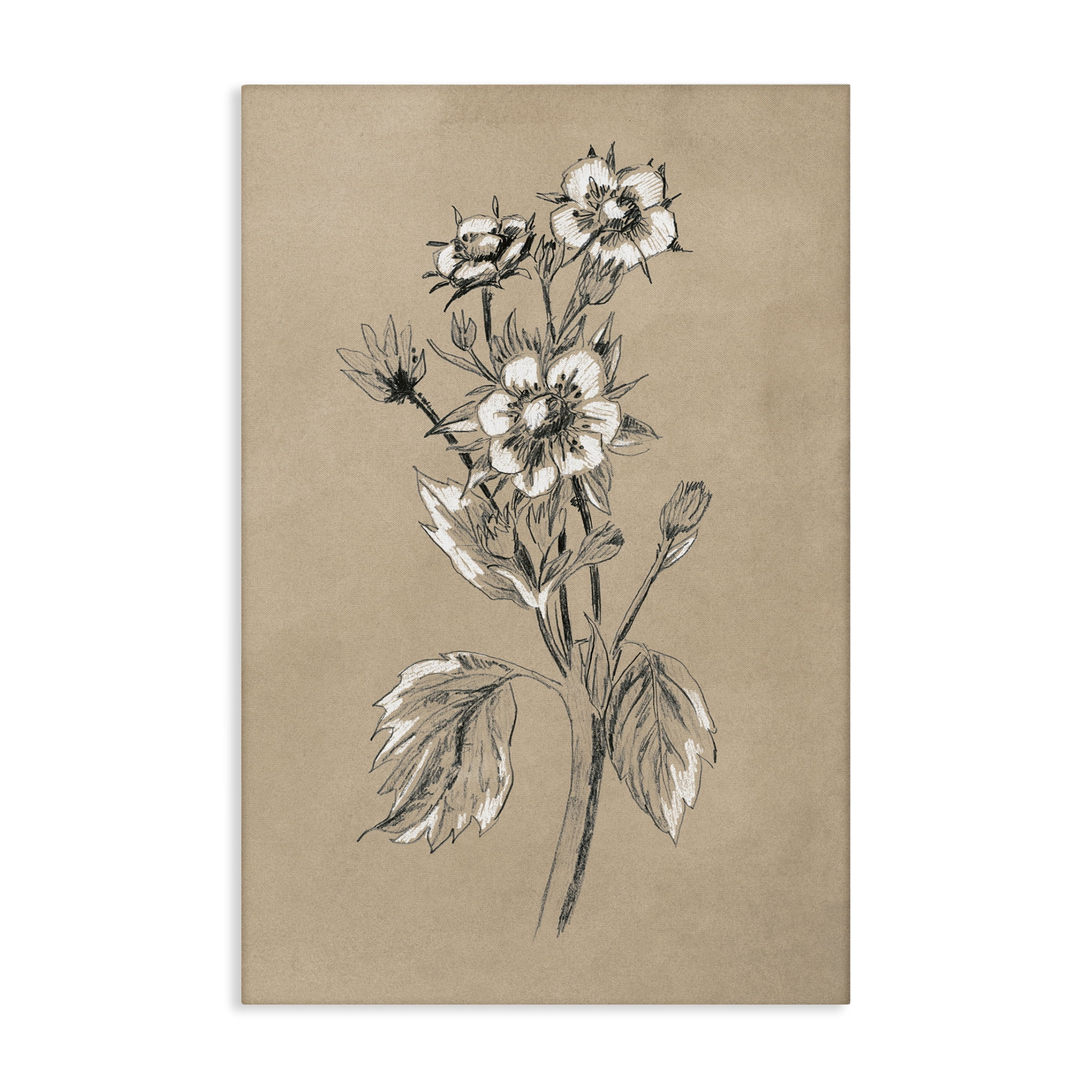 Stupell Industries Apple Blossom Drawing Botanical & Floral Drawing Gallery Wrapped Canvas Art Print Wall Art, 20 x 30