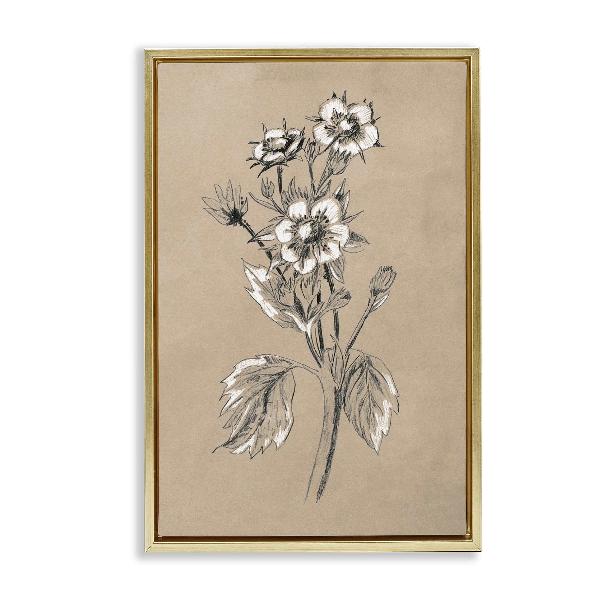 Stupell Industries Apple Blossom Drawing Botanical & Floral Drawing Gold Floater Framed Art Print Wall Art, 21 x 31
